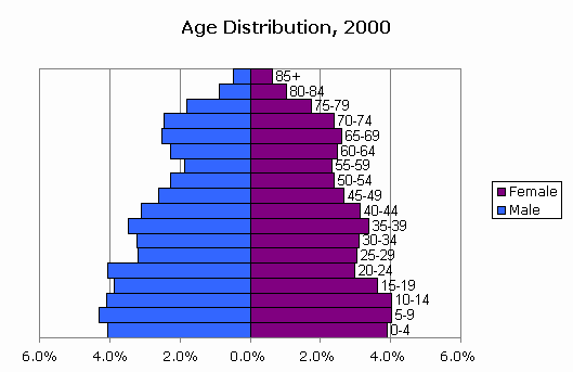 Population Age Chart