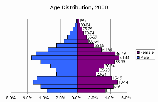 Us Age Distribution Chart