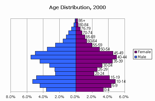 Age Distribution Chart