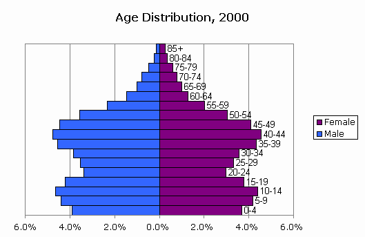 Population Age Chart