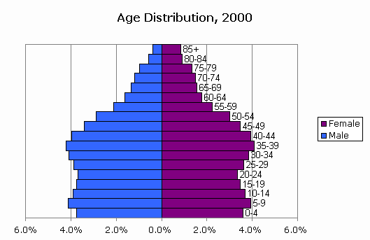 What is a population pyramid?