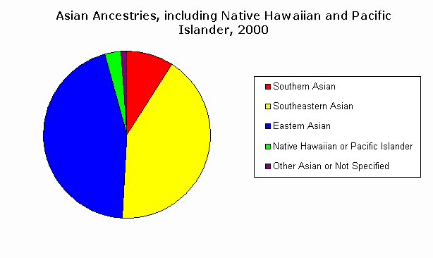 United States Ethnicity Pie Chart